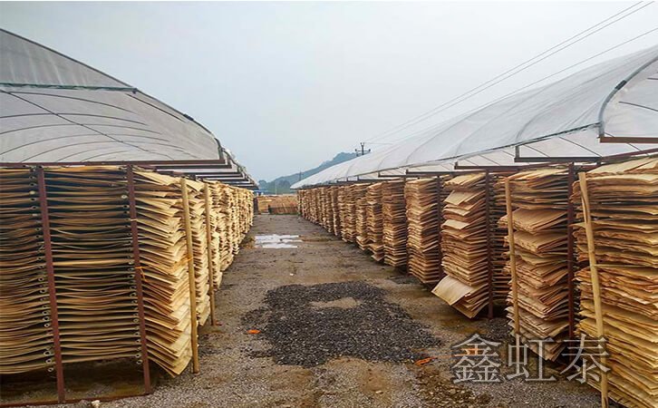 鑫虹泰木業(yè)單板大曬場一角