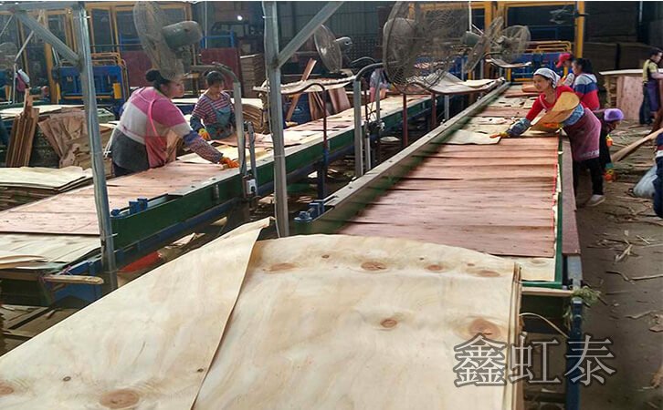 鑫虹泰建筑模板加工廠區(qū)