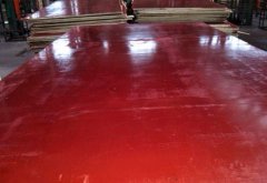 貴港建筑膠合板